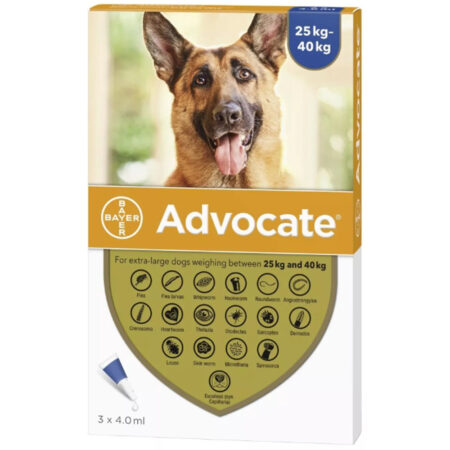 애드보킷 (Advocate Dogs) 25-40kg