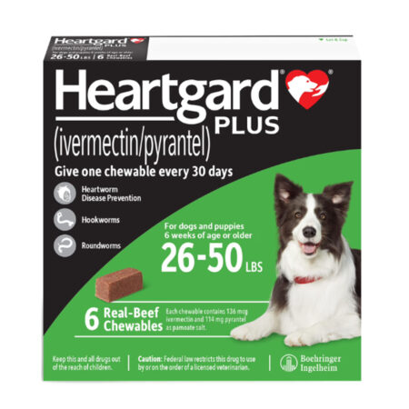 하트가드 츄어블 플러스 (Heartgard Chewables Plus) 12-22kg