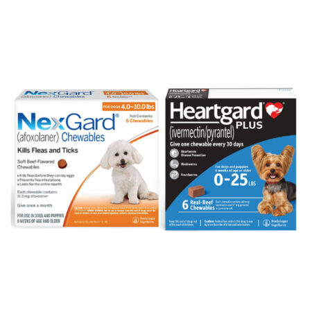 넥스가드 하트가드 블루 콤보팩 (NexGard & Heartgard (Blue) Combo Dogs 2-4kg)