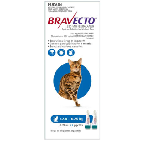 브라벡토 스팟 온 캣 (Bravecto Spot-On Cat) 2.8 - 6.25 kg