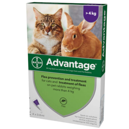 어드밴티지 퍼플 고양이용 (Advantage Purple Cats) 4kg 이상