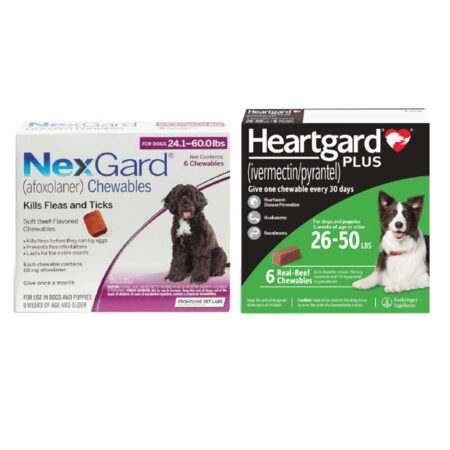 넥스가드 하트가드 그린 콤보팩 (NexGard & Heartgard (Green) Combo Dogs 10-25kg)