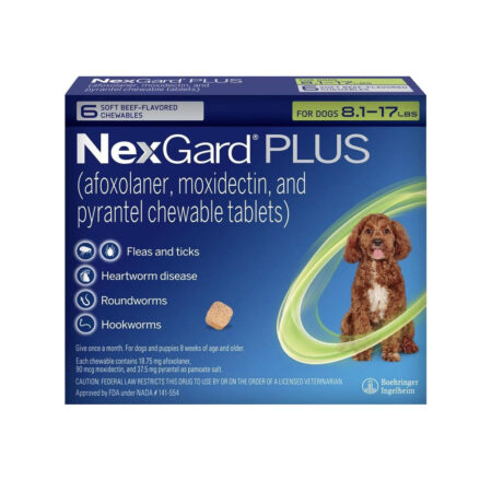 넥스가드 플러스 스몰 (Nexgard Plus Small) 4 - 8kg (그린)