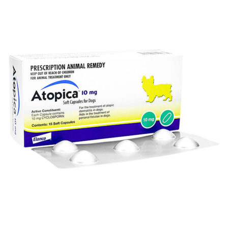 아토피카 Atopica 10mg (사이클로스포린 Cyclosporin 10mg )